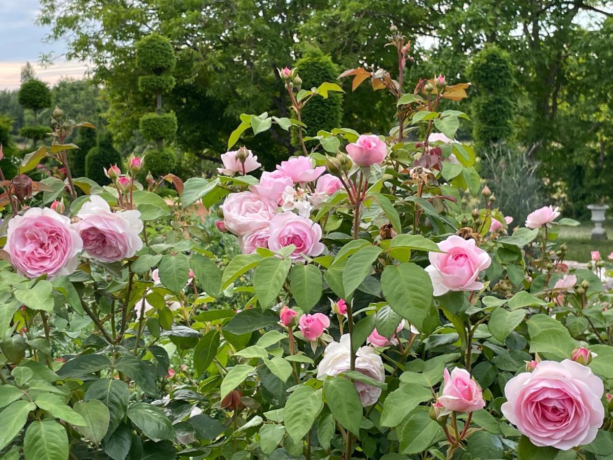 Les Jardins Haute Couture Huismes Buitenkant foto