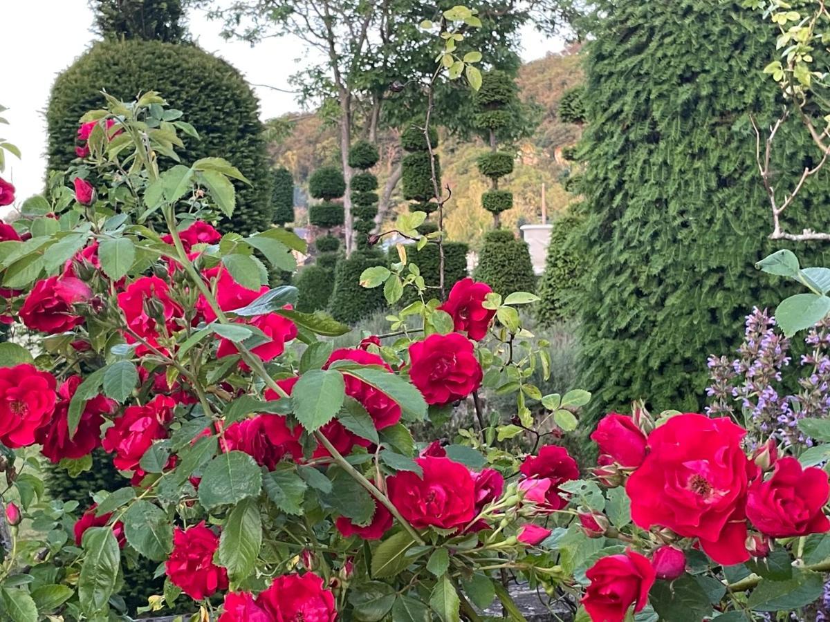 Les Jardins Haute Couture Huismes Buitenkant foto